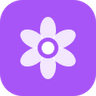 Momicare Bloom